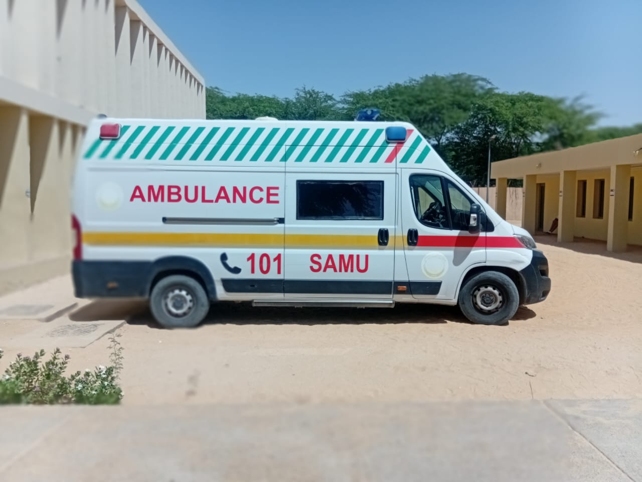 journee de la resilience 5